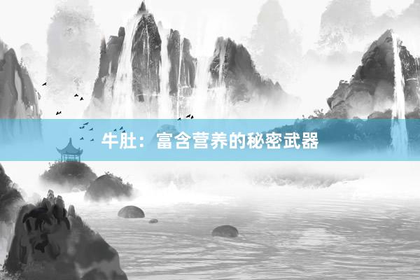 牛肚：富含营养的秘密武器