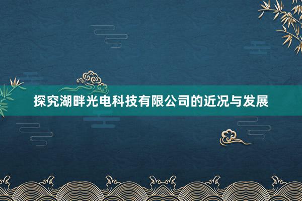 探究湖畔光电科技有限公司的近况与发展